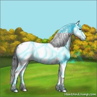 Horse Color:Thunderstruck Black Sabino
