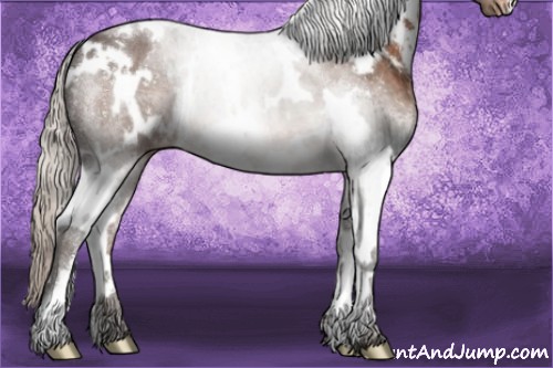 Horse Color:White Spotted Silver Brown Appaloosa 
