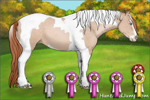 Horse Color:Buckskin Pearl Sabino Tobiano 