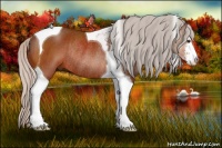 Horse Color:Silver Brown Sabino Tobiano Rabicano 