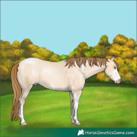 Horse Color:Bay Pearl Dun Sabino