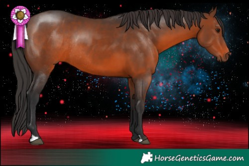 Horse Color:Brown Rabicano 