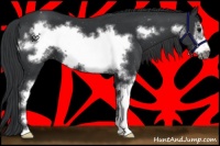 Horse Color:Black Sabino Frame