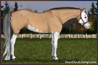 Horse Color:Bay Dun Splash 