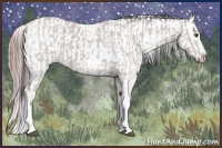 Horse Color:Platinum Buckskin Sabino Tobiano Rabicano  and Platinum White Spotted Amber Champagne Sabino Blanket Rabicano 