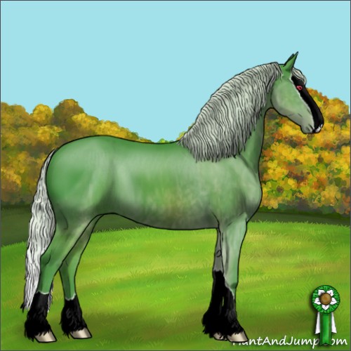 Horse Color:ERROR: UNKNOWN ANOMALY