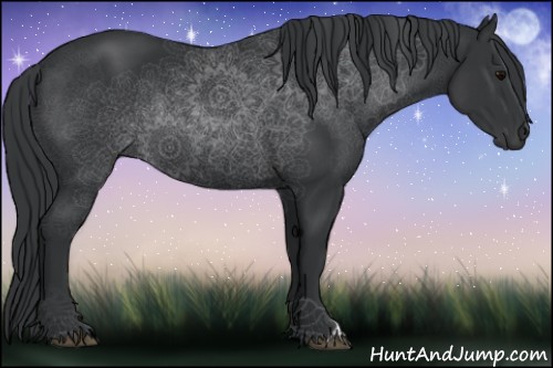 Horse Color:Black Rabicano 