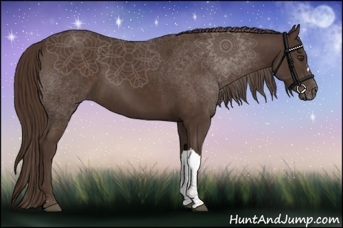 Horse Color:Liver Chestnut 