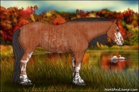 Horse Color:Bay Sabino Rabicano  and Bay Sabino Rabicano 