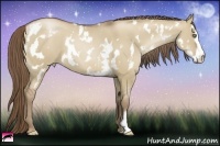 Horse Color:White Spotted Grullo Pearl Frame 