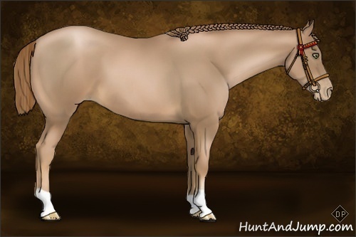Horse Color:Liver Chestnut Pearl