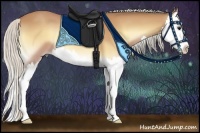 Horse Color:Silver Buckskin Onyx Sabino Splash