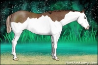 Horse Color:Chestnut Splash Rabicano