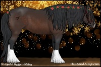 Horse Color:Brown Sabino Rabicano and Brown Sabino
