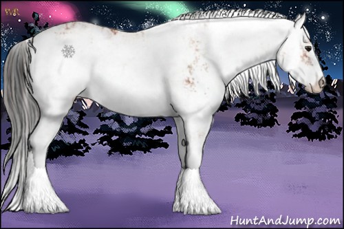 Horse Color:Bay Sabino Rabicano and Bay Sabino Rabicano
