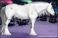 Horse Color:Bay Sabino Rabicano  and Bay Sabino Rabicano 