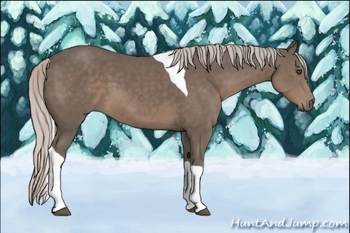 Horse Color:Silver Black Sabino Tobiano