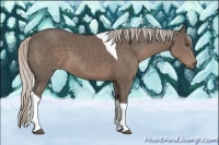 Horse Color:Silver Black Sabino Tobiano 