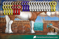 Horse Color:White Spotted Silver Bay Sabino Splash 