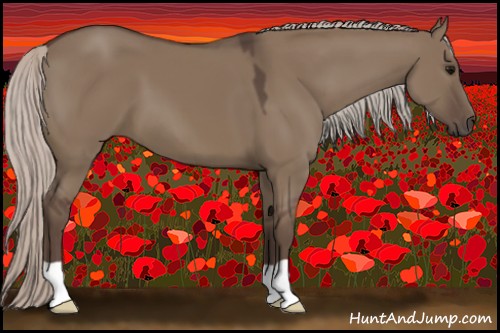 Horse Color:Silver Grullo