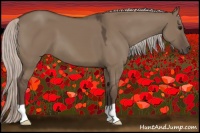Horse Color:Silver Grullo 