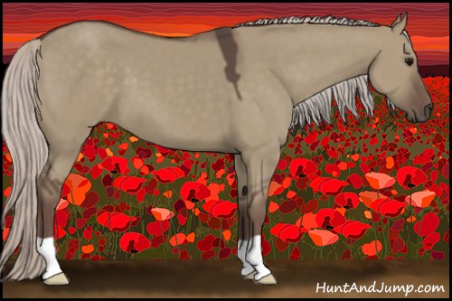 Horse Color:Silver Grullo 
