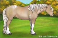Horse Color:Silver Black Pearl Tobiano 