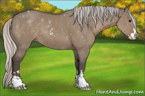 Horse Color:Silver Grullo Sabino