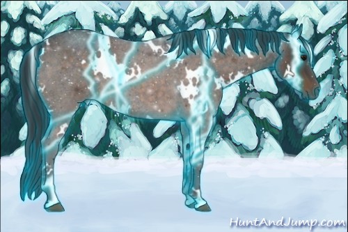 Horse Color:Thunderstruck White Spotted Brown Roan