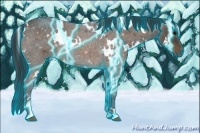 Horse Color:Thunderstruck White Spotted Brown Roan 
