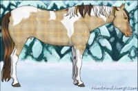 Horse Color:Plaid  Liver Red Dun Tobiano Snowflake Varnish