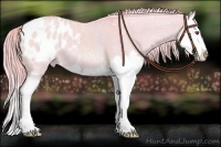 Horse Color:Watercolor Red Dun Chinchilla Splash Appaloosa