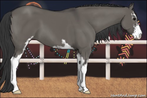 Horse Color:Grullo Sabino 