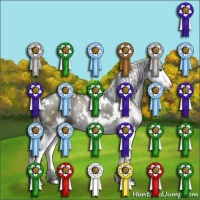 Horse Color:White Spotted Grullo Sabino Splash Rabicano 