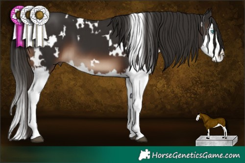 Horse Color:White Spotted Liver Chestnut Splash 