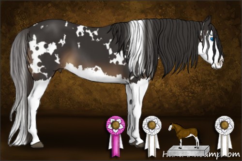 Horse Color:White Spotted Liver Chestnut Splash 