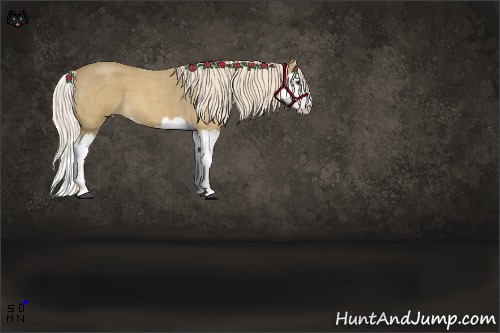 Horse Color:Palomino Roan Splash 