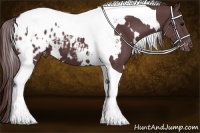 Horse Color:White Spotted Chocolate Black Tobiano Blanket 