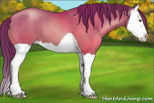 Horse Color:Brown Pearl Splash 