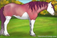 Horse Color:Brown Pearl Splash