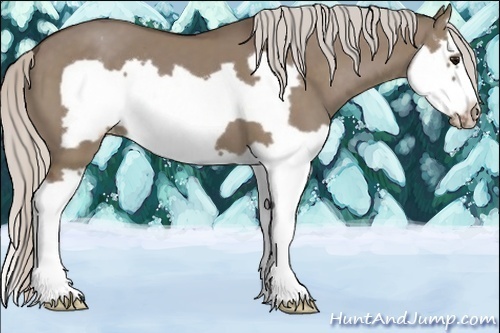 Horse Color:Silver Grullo Splash Frame Varnish