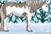 Horse Color:Silver Grullo Splash Frame Appaloosa 