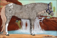 Horse Color:Chocolate Palomino Ice Appaloosa 