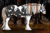 Horse Color:White Spotted Liver Chestnut Splash 