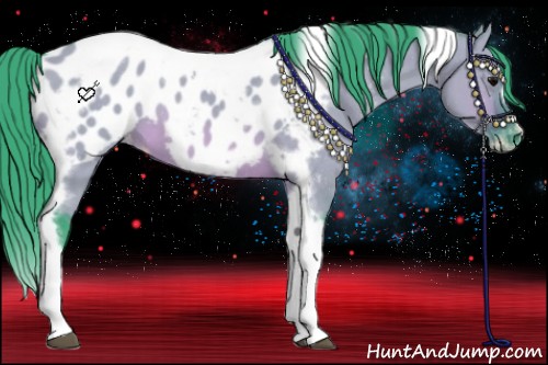 Horse Color:Watercolor Brown Dun Tobiano Frame Appaloosa 