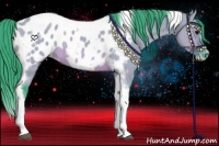 Horse Color:Watercolor Brown Dun Tobiano Frame Appaloosa 