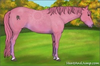 Horse Color:Watercolor Red Roan