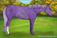 Horse Color:Watercolor Silver Brown 