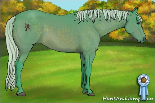 Horse Color:Watercolor Silver Brown 