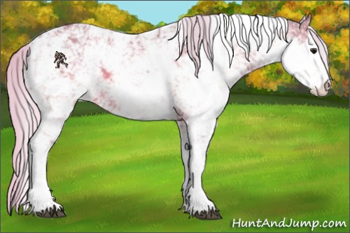 Horse Color:Watercolor Silver Brown Sabino